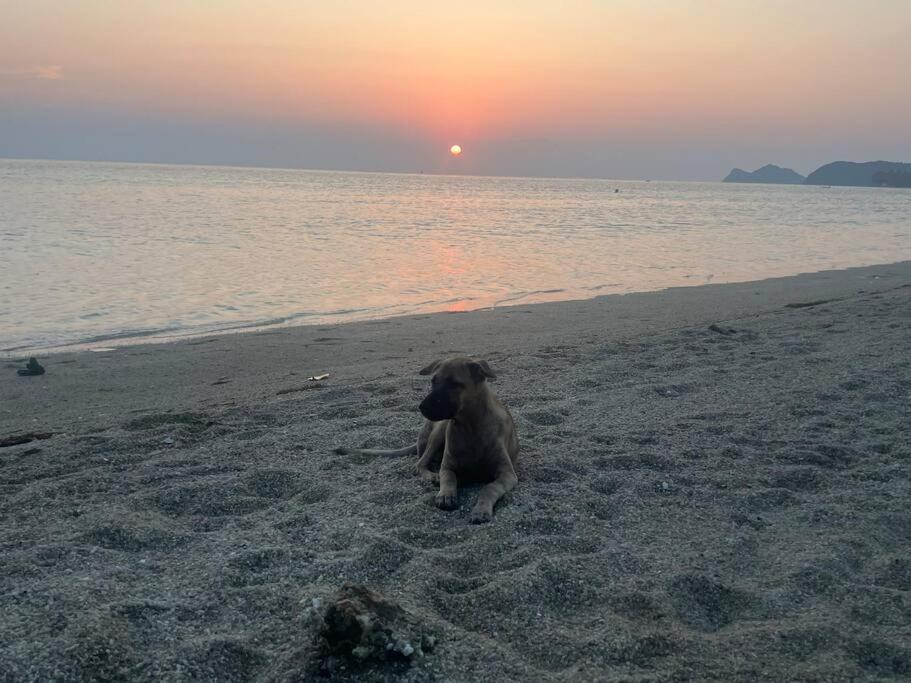 Sunset Serenity Cove Ko Pha Ngan Exterior foto